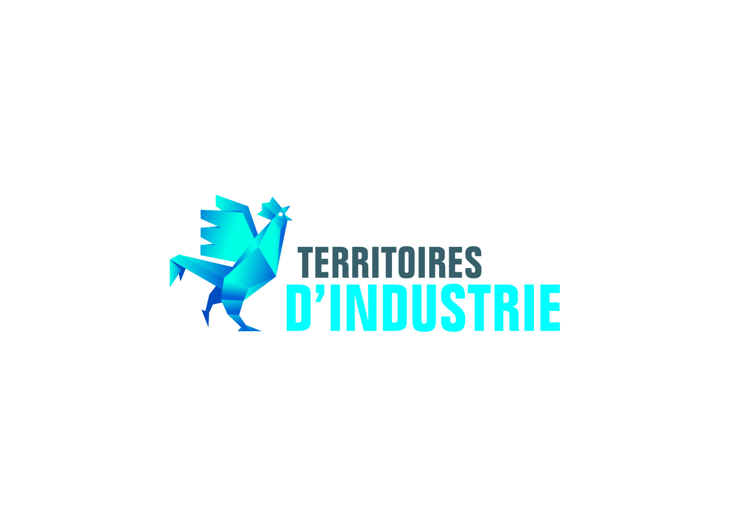 Le PETR du Pays des Nestes recrute un(e) chef(fe) de projet Territoire Industrie
