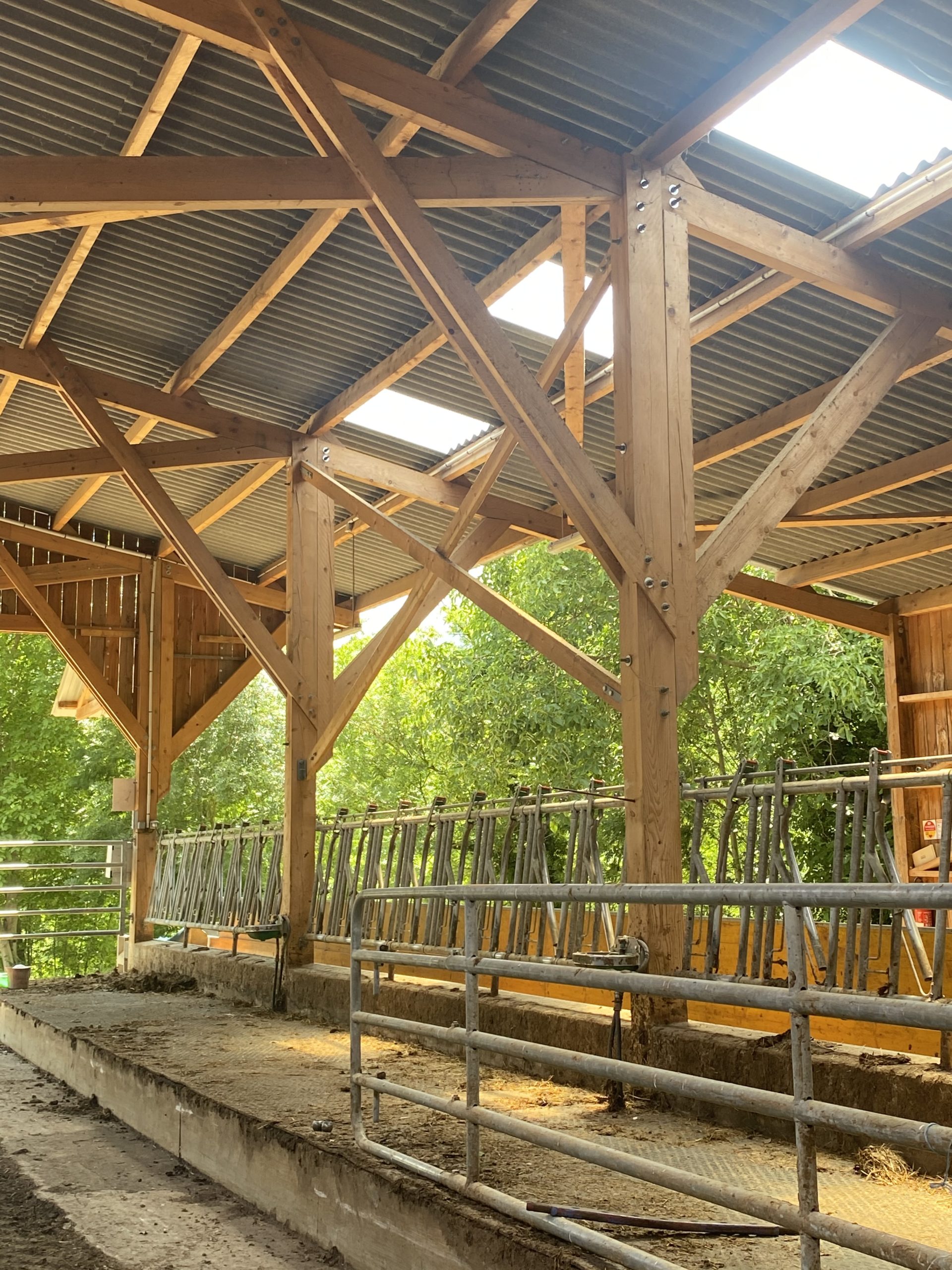 Animation : Comment valoriser le bois local ?